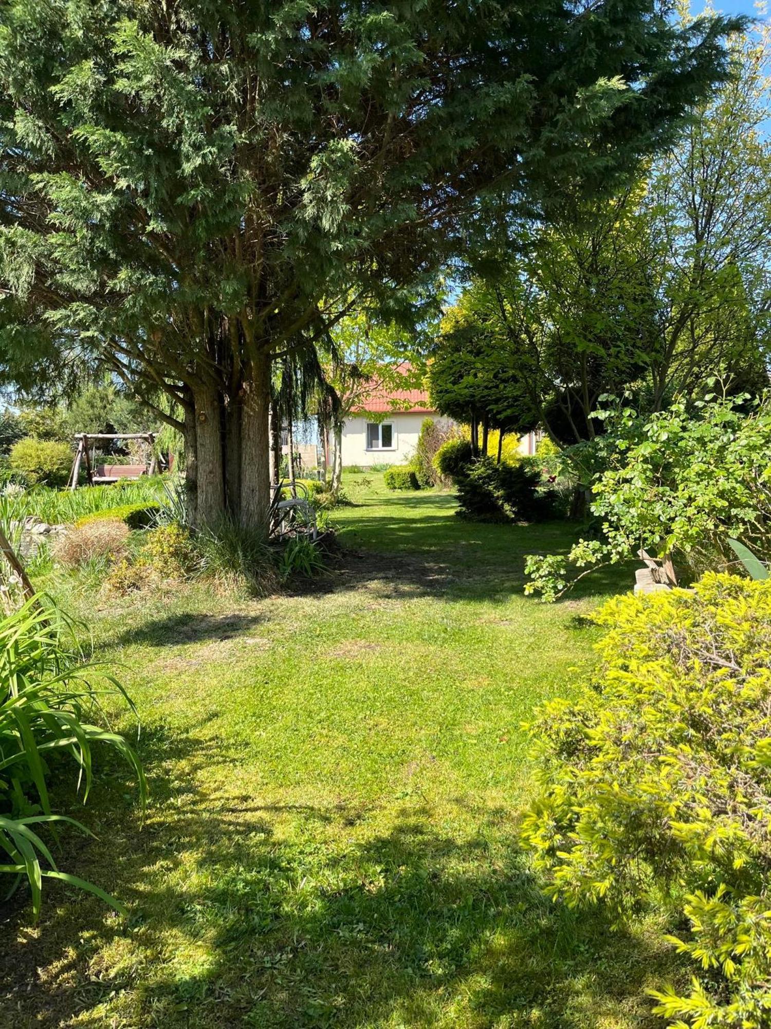Agroturystyka Smulsko Przykona Экстерьер фото