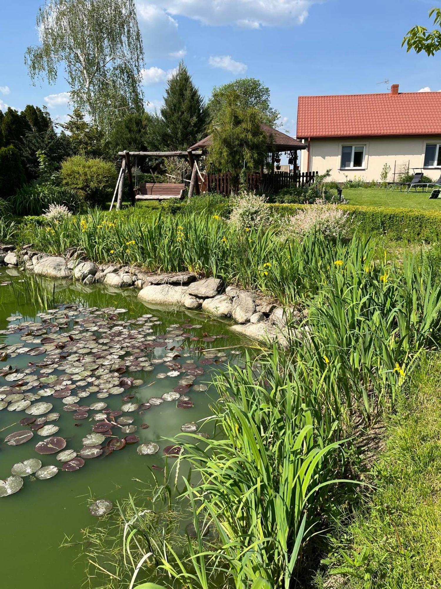Agroturystyka Smulsko Przykona Экстерьер фото
